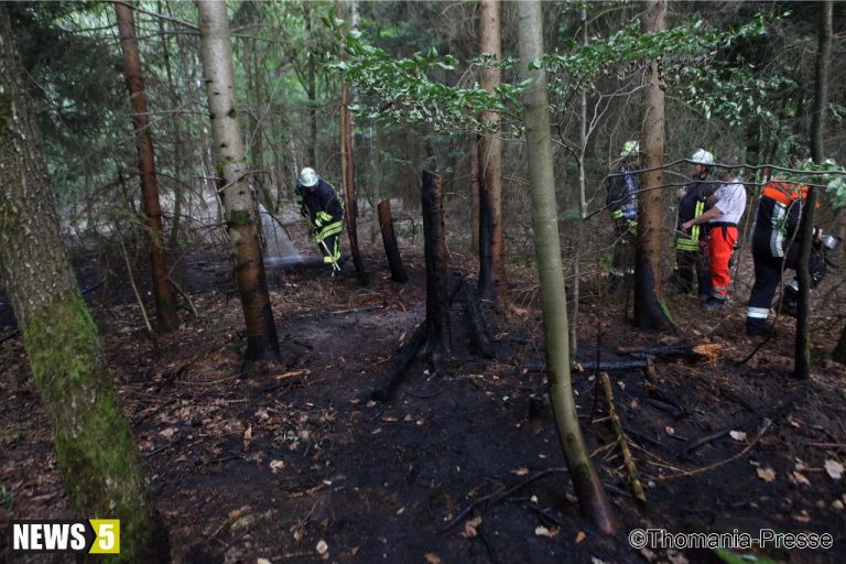 Mehr über den Artikel erfahren Waldbrand Aurach