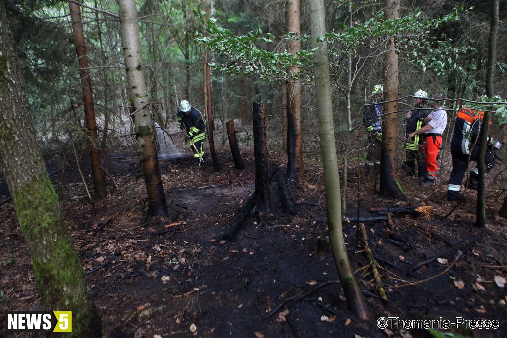 Mehr über den Artikel erfahren Waldbrand Aurach