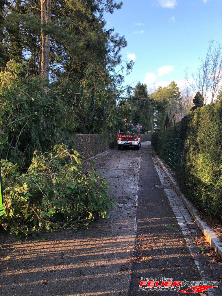 Mehr über den Artikel erfahren Unwettereinsatz: Baum über Straße