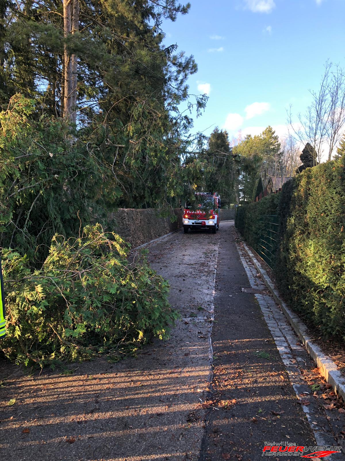 Mehr über den Artikel erfahren Unwettereinsatz: Baum über Straße