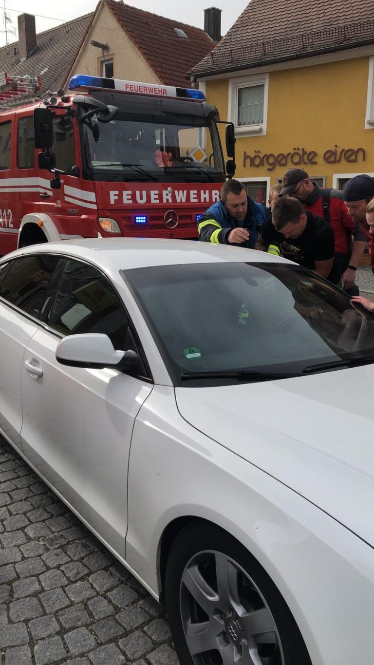 Mehr über den Artikel erfahren #026 / 2019 Kleinkind in PKW