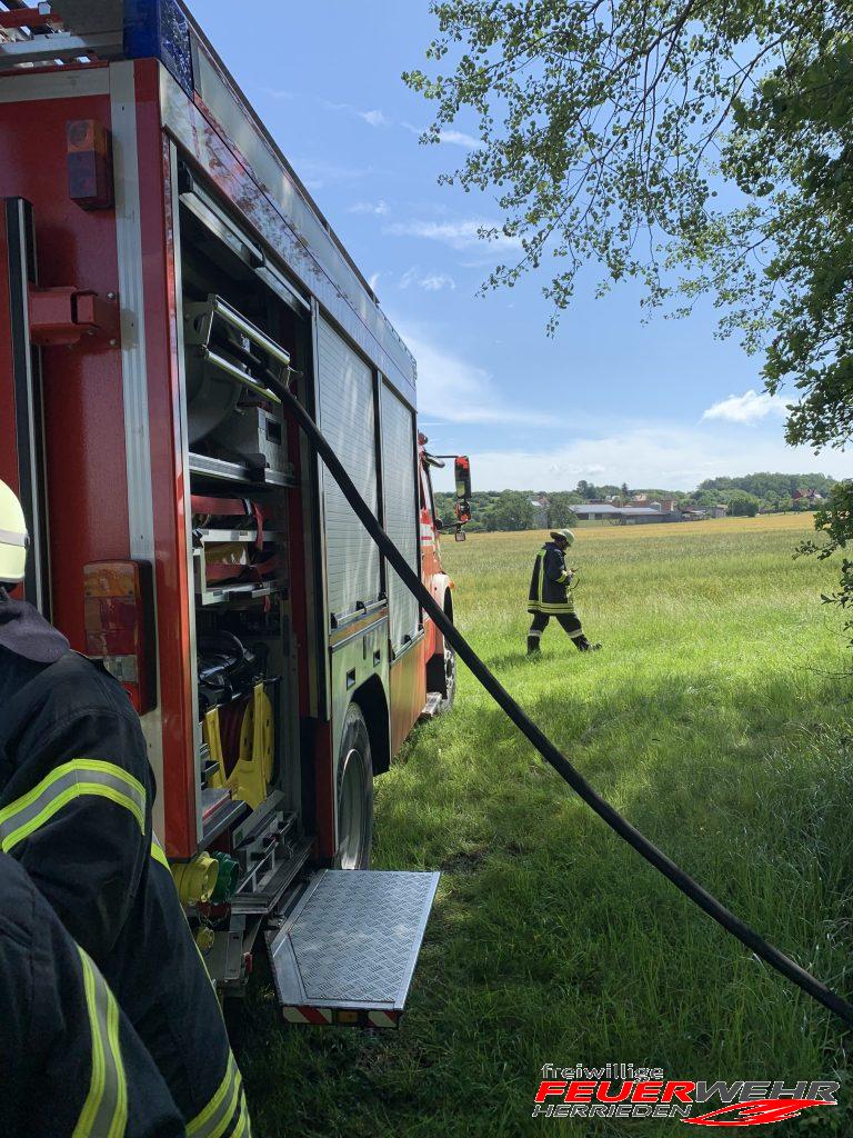 Mehr über den Artikel erfahren #52 Waldbrand