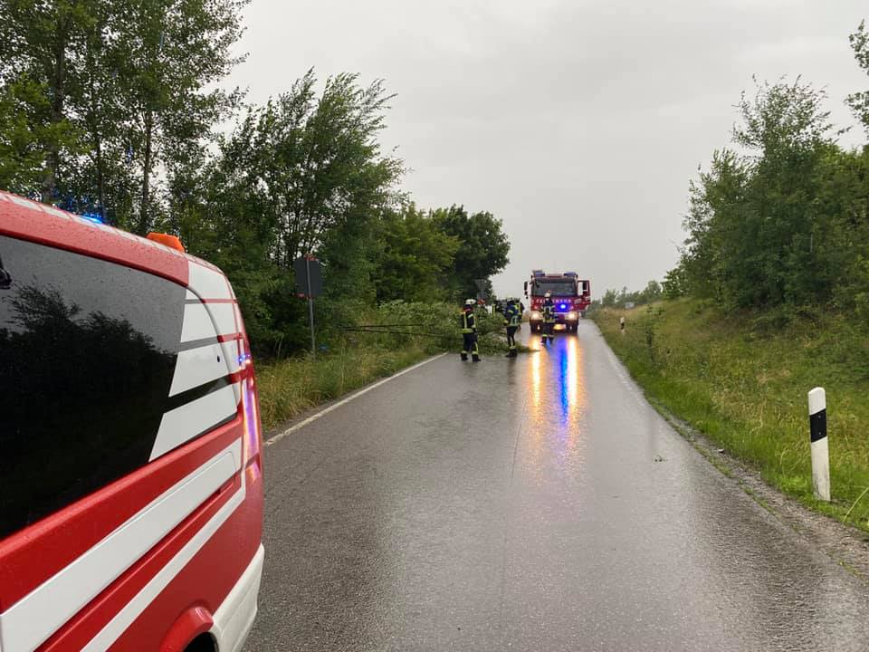 Mehr über den Artikel erfahren Baum auf Fahrbahn