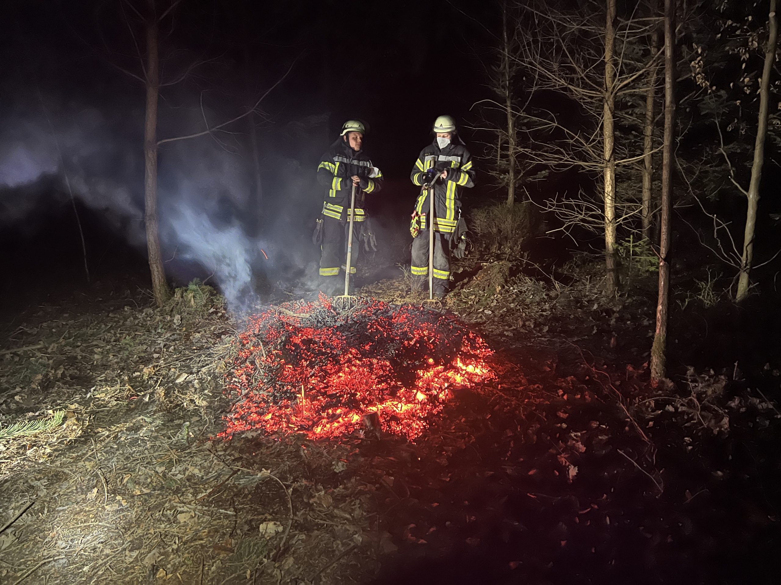 Mehr über den Artikel erfahren Kleinbrand im Wald