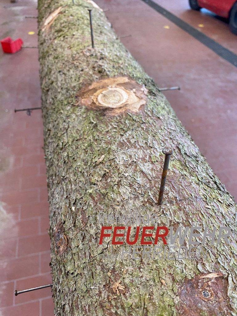 Mehr über den Artikel erfahren Wie sieht unser Maibaum wohl aus?