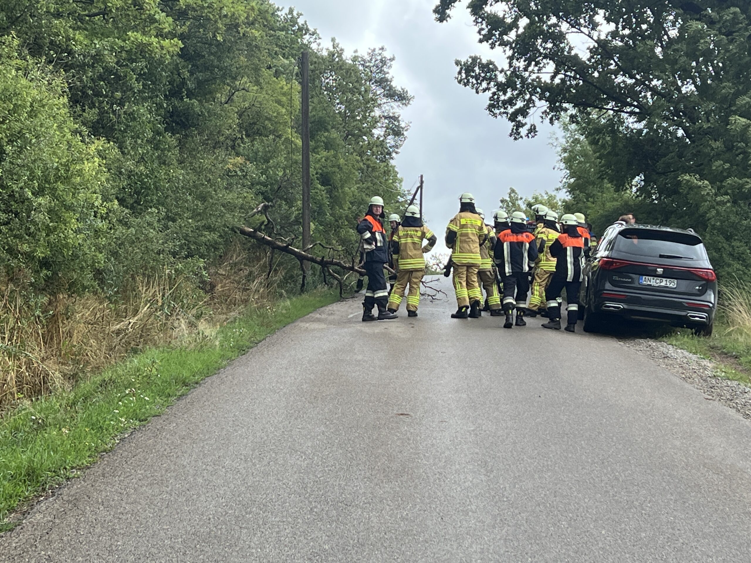 Mehr über den Artikel erfahren Baum über Fahrbahn