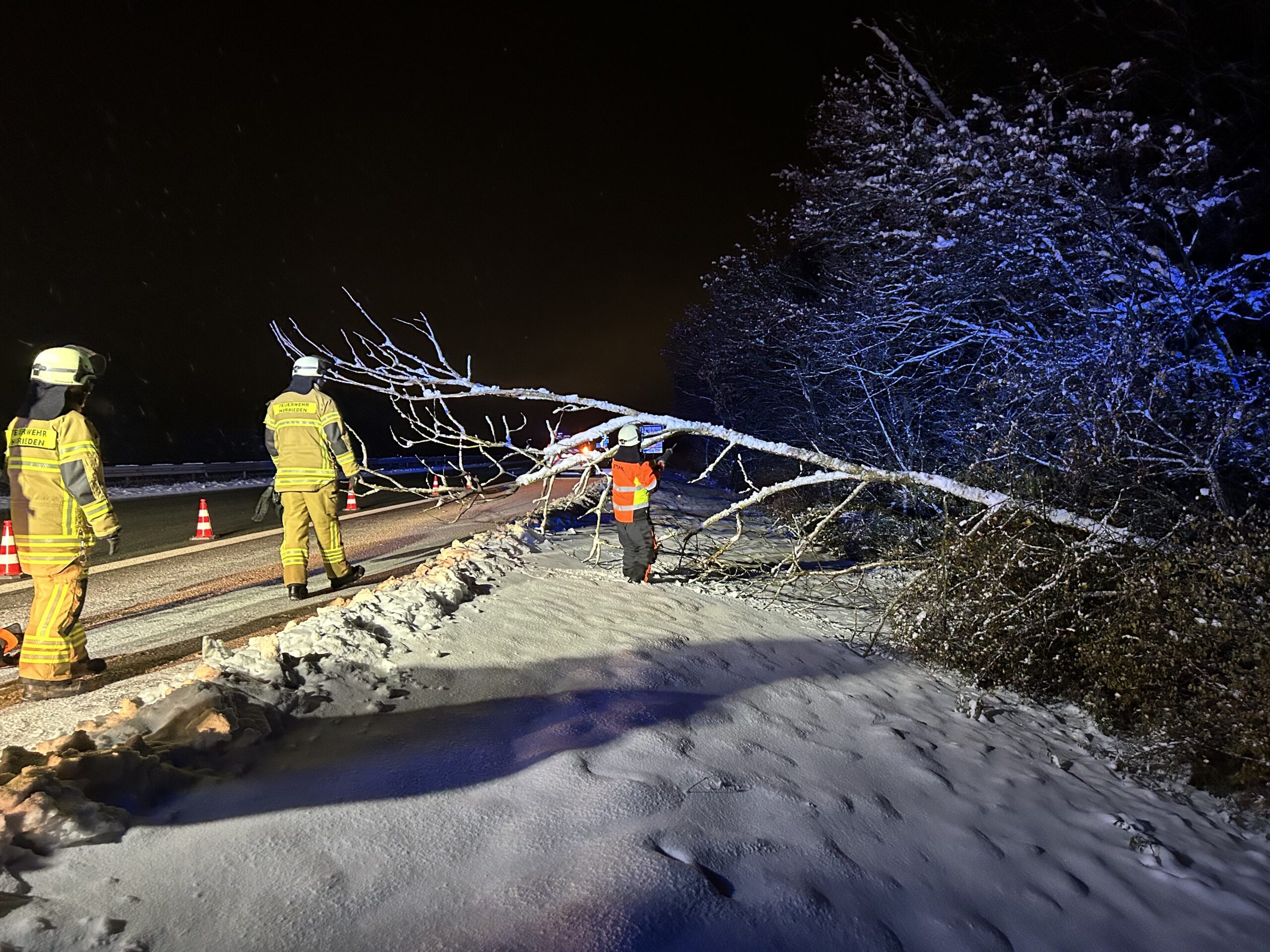 Read more about the article Baum auf Fahrbahn