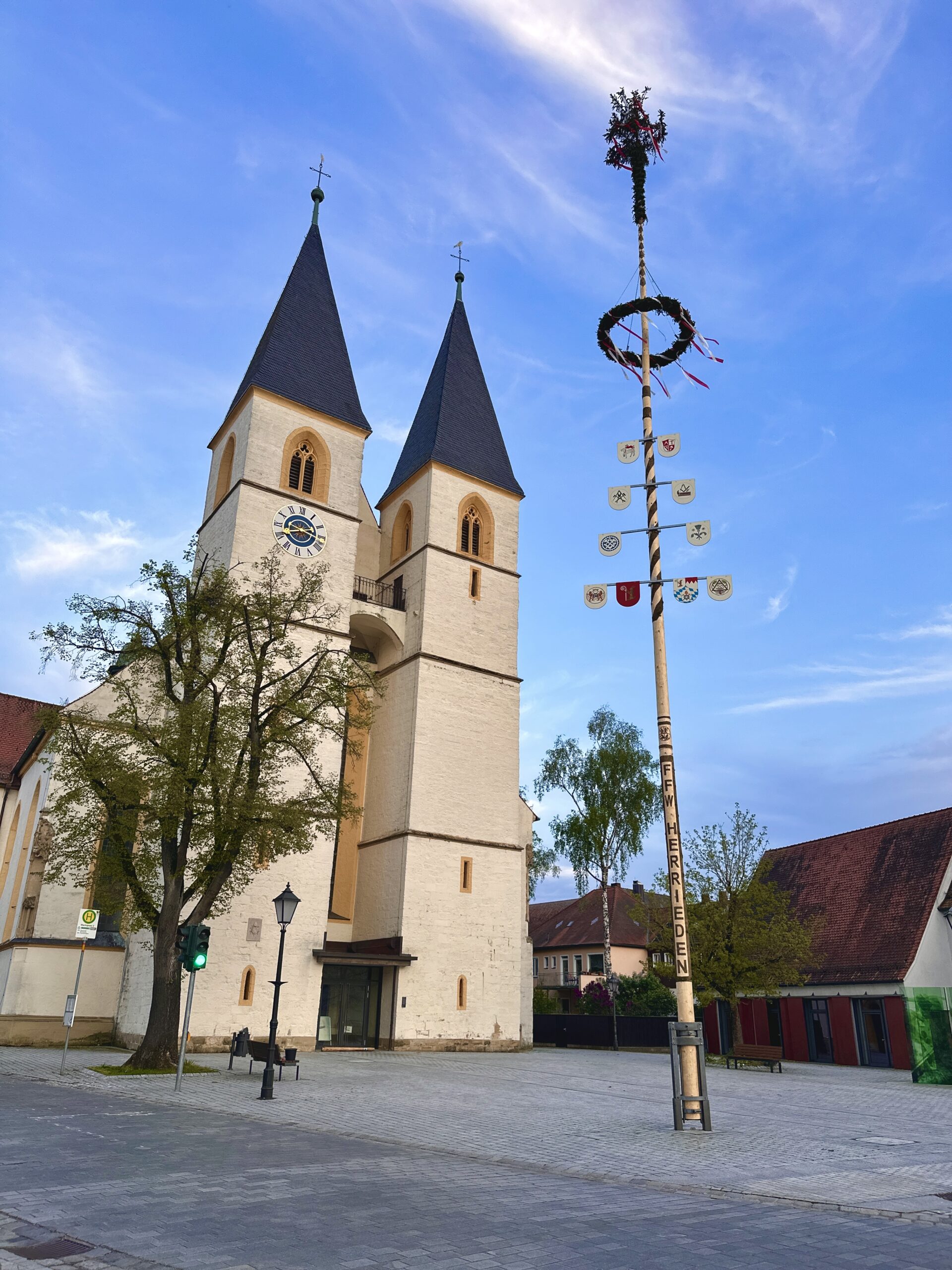 Maibaum 2024